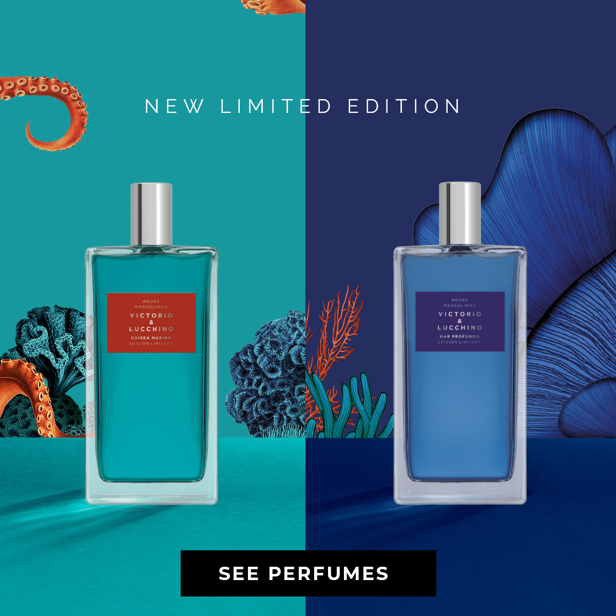 Victorio y Lucchino Perfumes