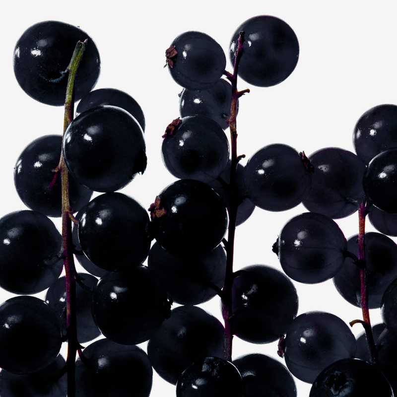Grosella negra