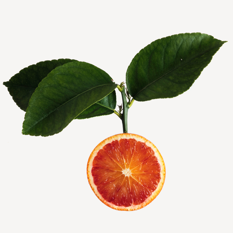 Naranja sanguina