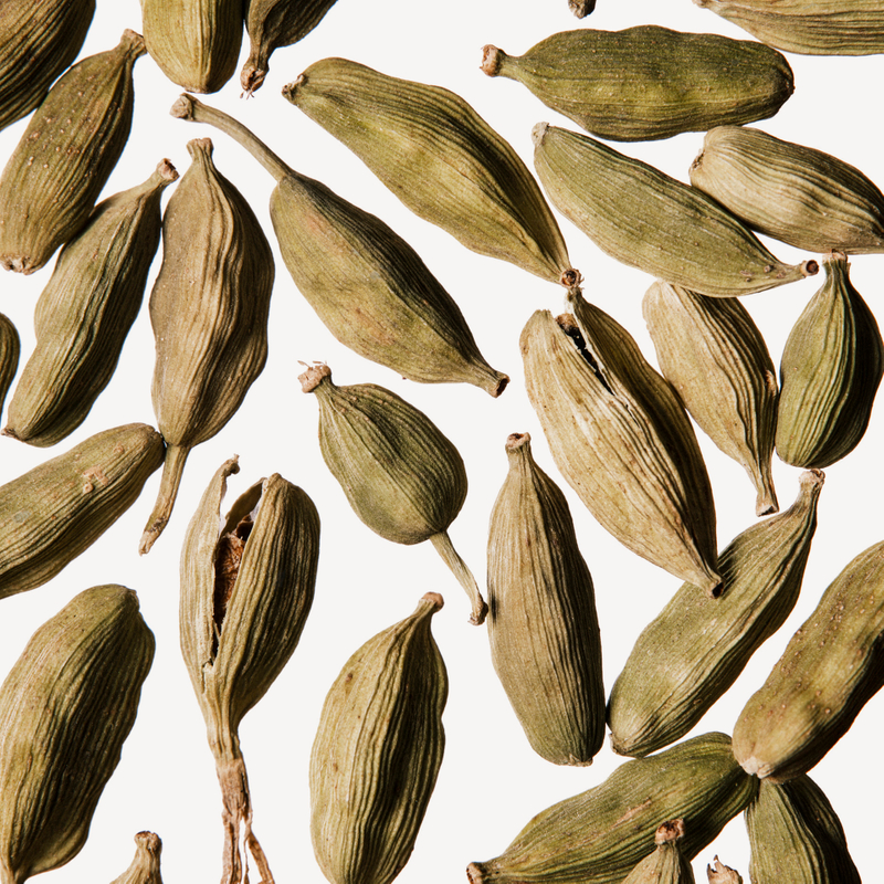 Cardamomo