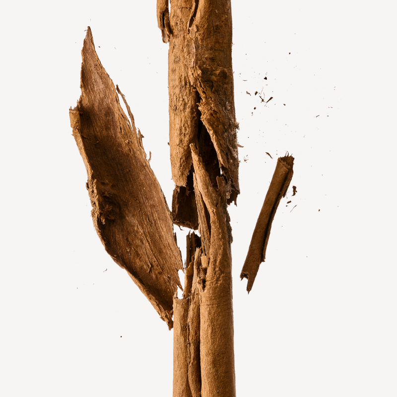 Canela